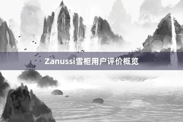 Zanussi雪柜用户评价概览